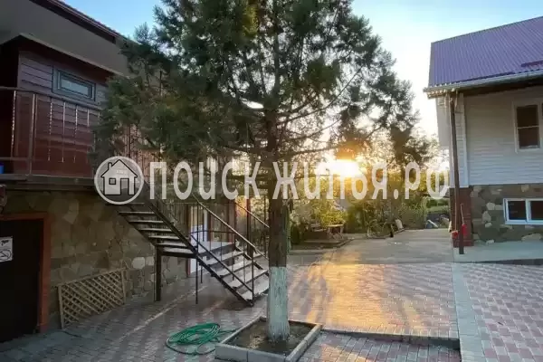 «Под соснами»