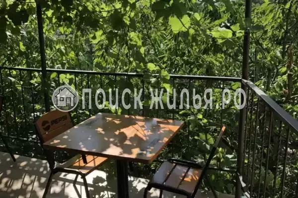 «Под соснами», Джубга