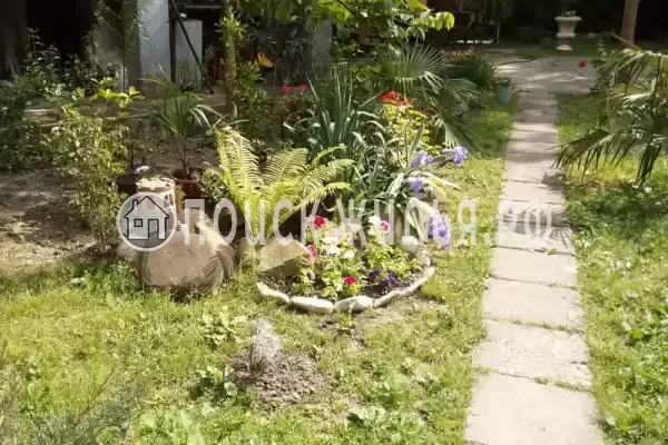 «Есения», Шепси «Есения», Шепси