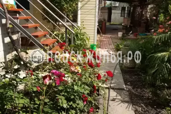 «Есения», Шепси «Есения», Шепси