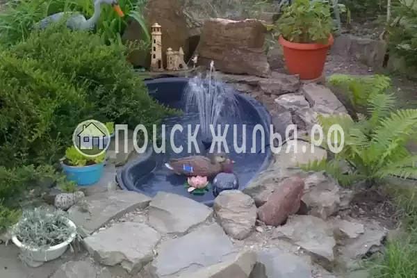 «Есения», Шепси «Есения», Шепси