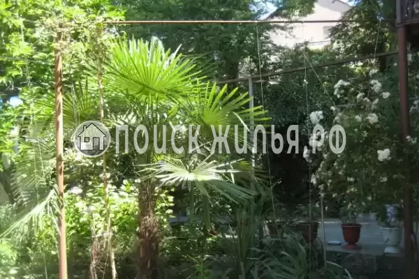 «Есения», Шепси «Есения», Шепси