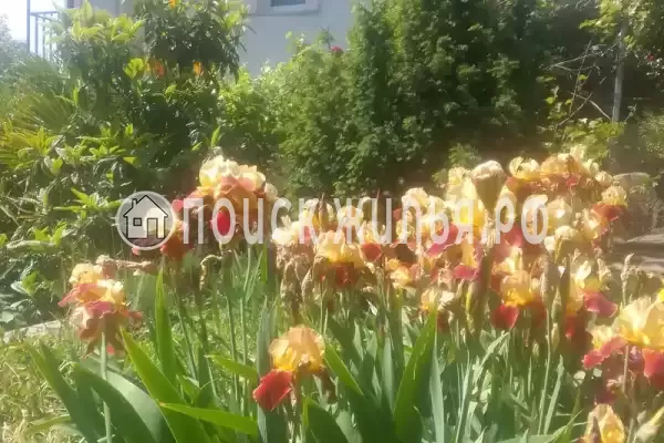 «Людмила», Гурзуф «Людмила», Гурзуф