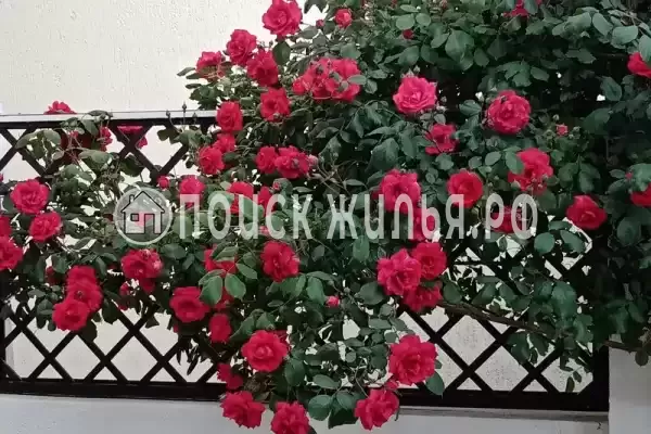 Частный сектор «Акварель», Кабардинка Частный сектор «Акварель», Кабардинка