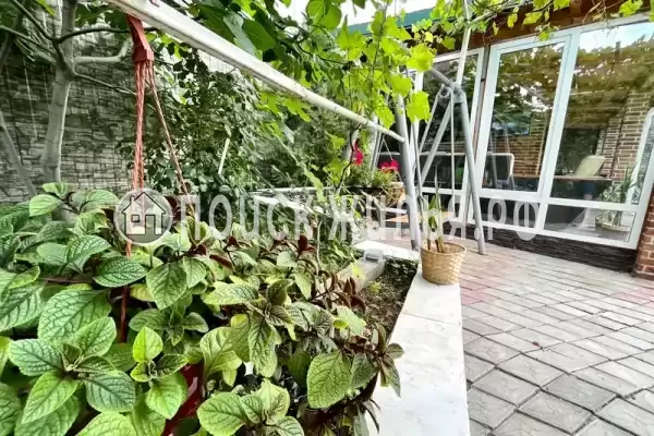 «Мечта-4», Пляхо