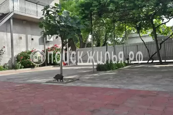 Частный сектор «Частный дом», Гагра