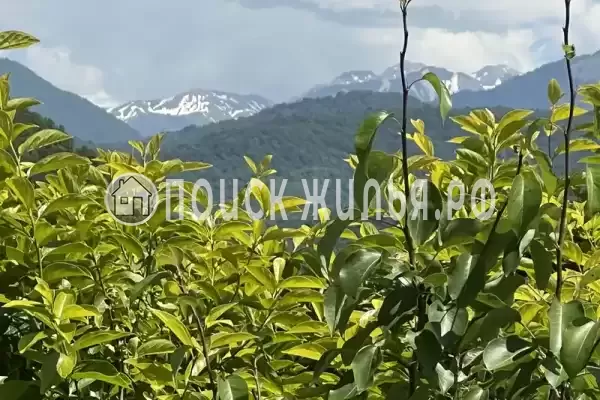 Гостевой дом «Hurma», Цандрипш