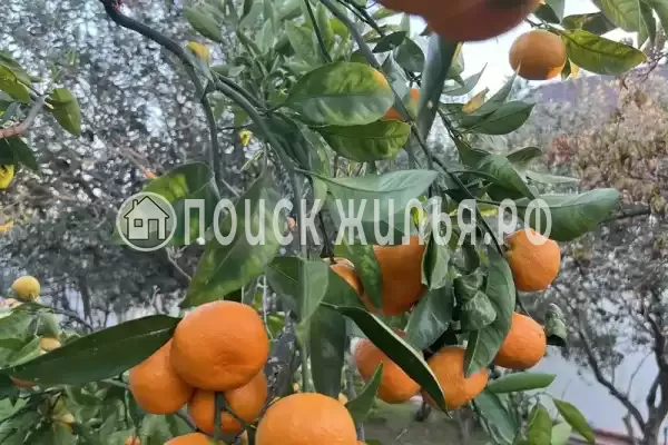 Гостевой дом «Hurma», Цандрипш Гостевой дом «Hurma», Цандрипш