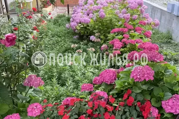 «На Тихорецкой», Солоники