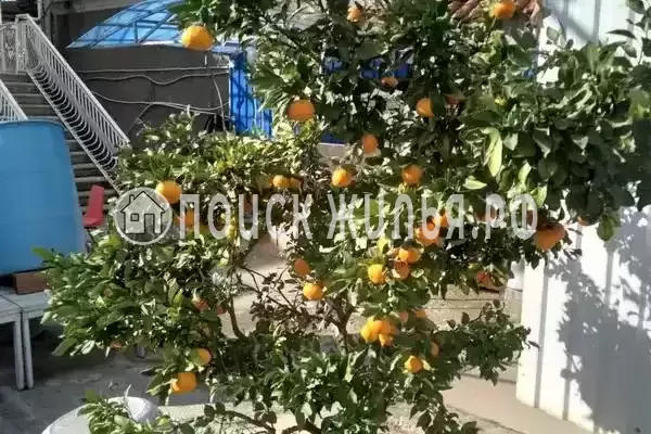 Частный сектор, ул.пр-кт Ардзинба, д.219, Республика Абхазия, Гагра, пр-кт Ардзинба, д.219 Частный сектор, ул.пр-кт Ардзинба, д.219, Республика Абхазия, Гагра, пр-кт Ардзинба, д.219