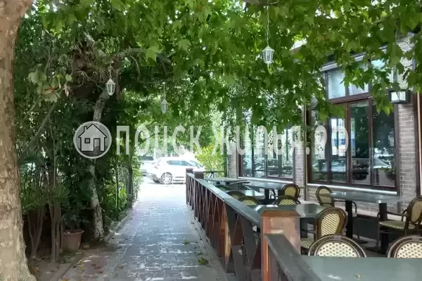 «Алла», Адлер