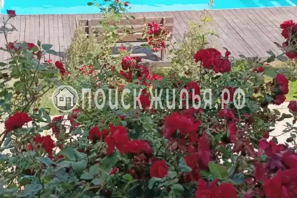 «Барселона», Кучугуры «Барселона», Кучугуры