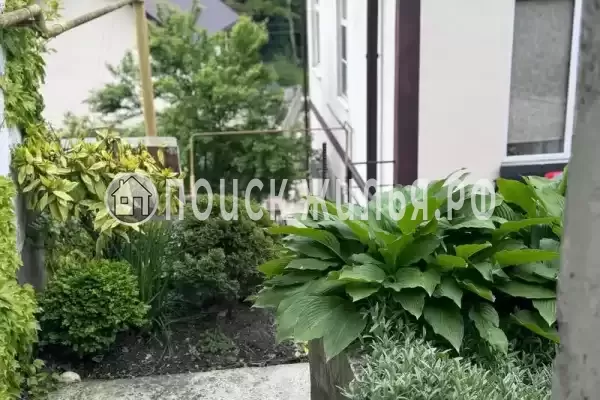 «Full House», Солоники