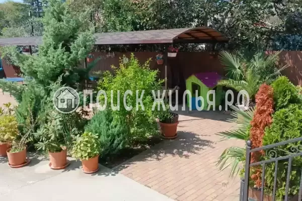 «Ассоль», Головинка «Ассоль», Головинка