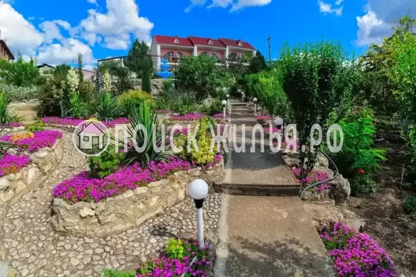 «Регата», Щелкино