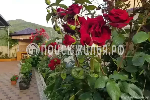 Апартаменты «2х комнатные», Агой