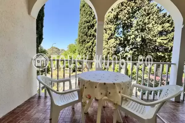 Гостевой дом «Ривьера», Гагра