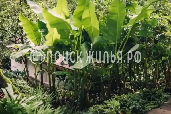 «LARA», Лазаревское «LARA», Лазаревское