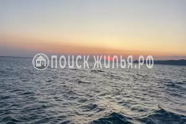 «Пегас», Новомихайловский