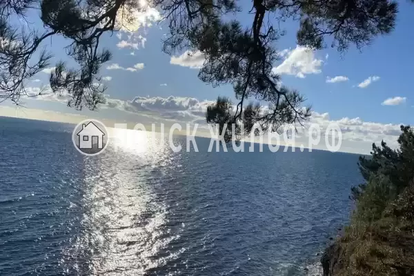 «Пегас», Новомихайловский