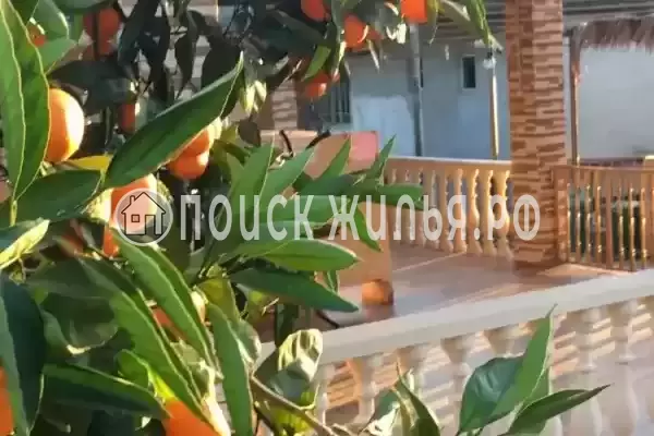 Гостевой дом «Аллея роз», Сухум Гостевой дом «Аллея роз», Сухум