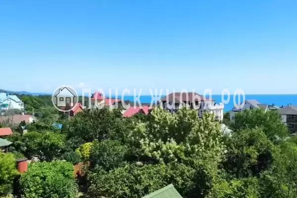 «Альбатрос», Бетта