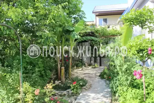 «Алтум», Небуг «Алтум», Небуг