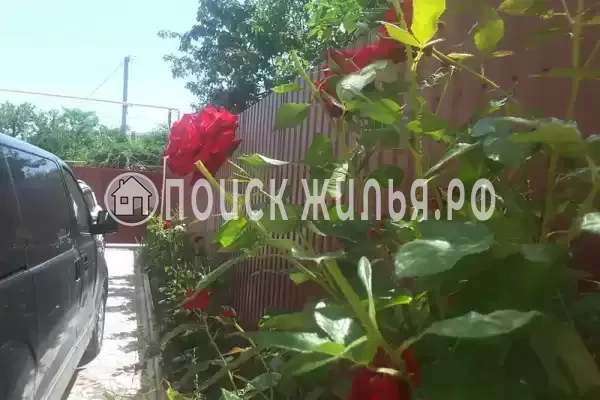 Гостевой дом «У Светланы», Феодосия