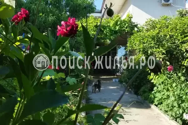 Гостевой дом «Виола», Новый Афон Гостевой дом «Виола», Новый Афон
