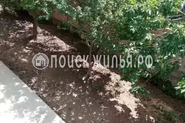 «Arbuz», Витязево «Arbuz», Витязево