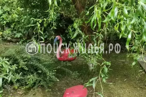 Частный сектор «Аше&Море», Сочи Частный сектор «Аше&Море», Сочи