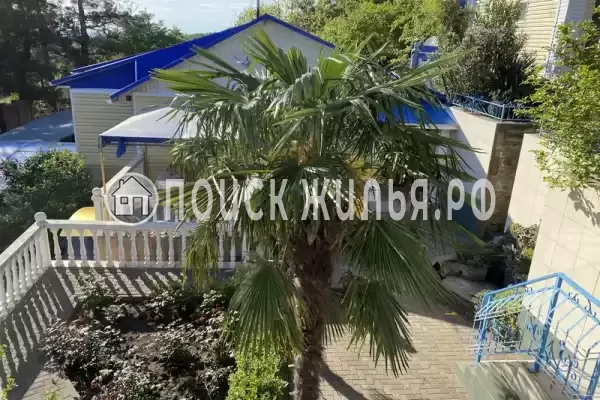 «Утес», Ольгинка