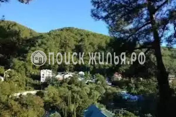 Гостевой дом «Сосны», Джанхот