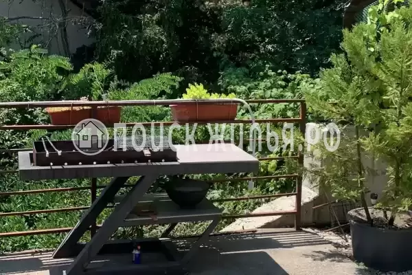 «Луна», Ольгинка