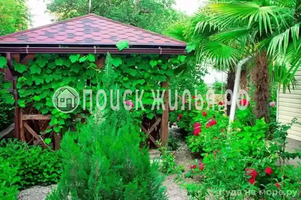 «Sofia», Лазаревское