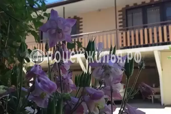 Гостевой дом «Elen», Краснодарский край, Джубга, Южный пререулок, д.6А Гостевой дом «Elen», Краснодарский край, Джубга, Южный пререулок, д.6А