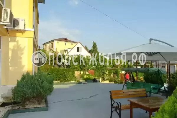 «Grandevu», Хоста «Grandevu», Хоста