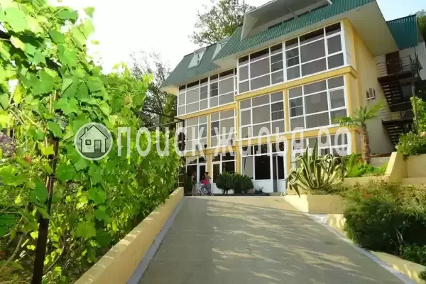 «Grandevu», Хоста «Grandevu», Хоста