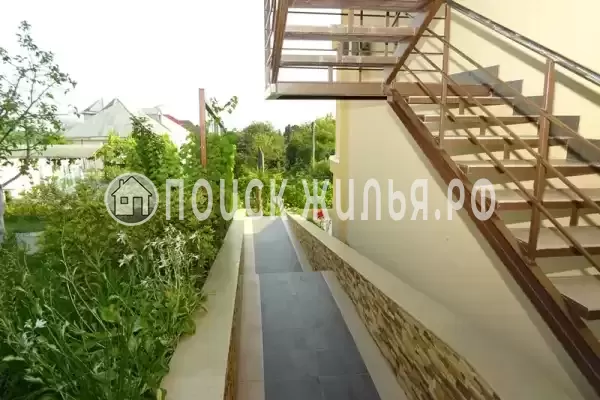 «Grandevu», Хоста «Grandevu», Хоста