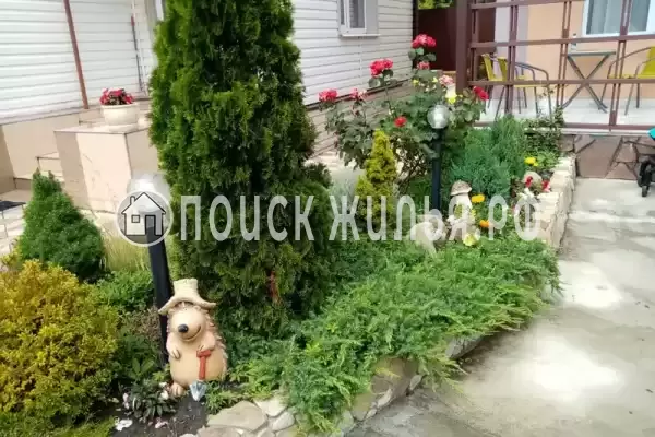 «Алевтина», Новомихайловский