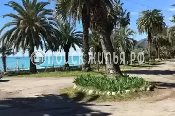 Гостевой дом «Бриз», Гагра