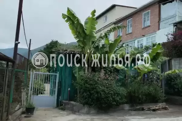 Частный сектор «Цветочный рай», Республика Абхазия, Гагра, 2-й Подгорный переок, д.5А Частный сектор «Цветочный рай», Республика Абхазия, Гагра, 2-й Подгорный переок, д.5А