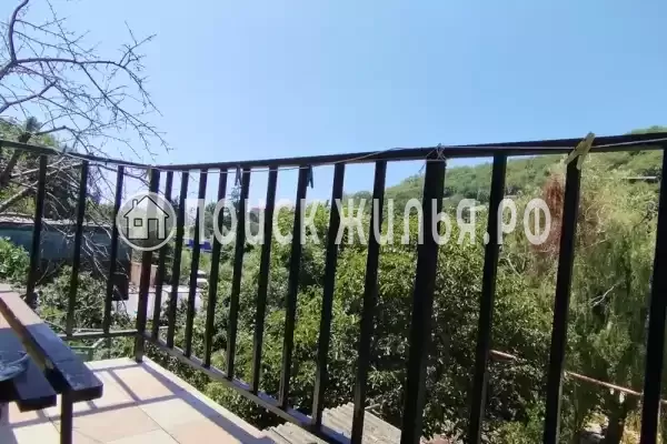 «Надежда», Дедеркой «Надежда», Дедеркой