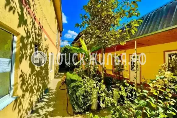 «Виктория», Новомихайловский