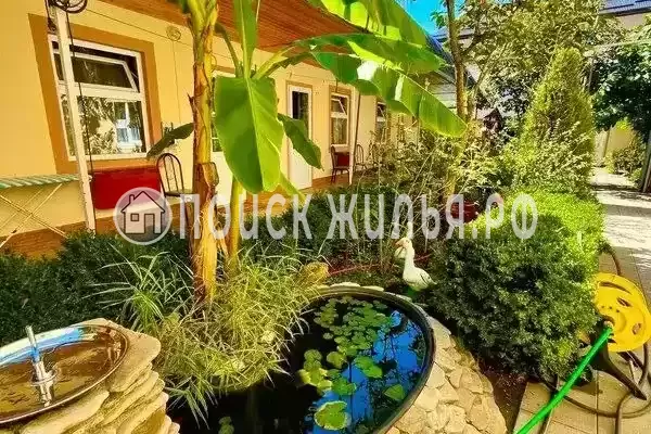 «Виктория», Новомихайловский