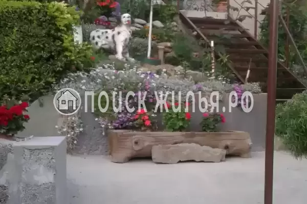 «Александра», Чемитоквадже