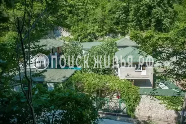 «Инжир», Пляхо