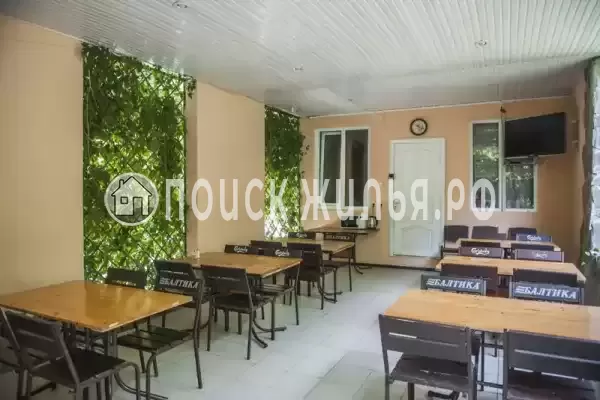 «Инжир», Пляхо