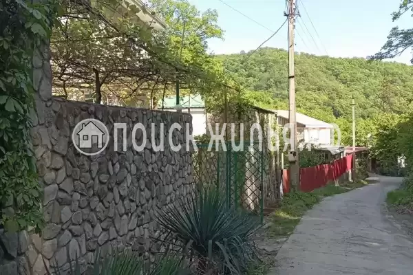 «Инжир», Пляхо