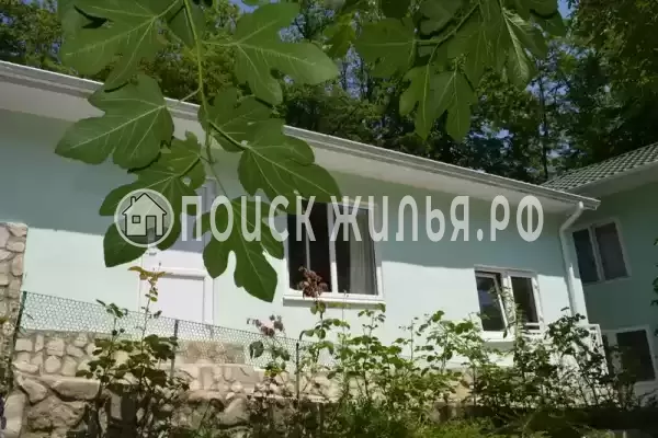 «Инжир», Пляхо